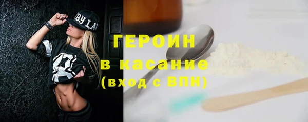 прущие грибы Аркадак