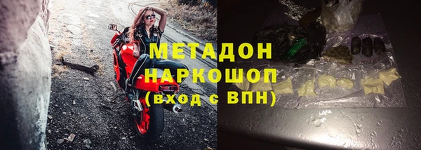 прущие грибы Аркадак