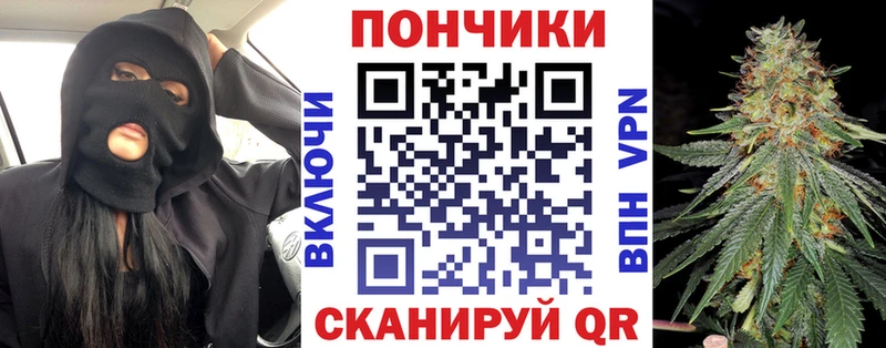 Купить  Беломорск  Бошки Шишки индика 